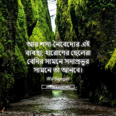 Picture 05 - লেবীয়া 6:14 BENIRV - আর শস্য-নৈবেদ্যের - Bible Verse Picture