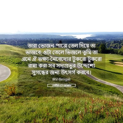 Picture 05 - লেবীয়া 6:21 BENIRV - তারা ভোজন-পাত্রে - Bible Verse Picture