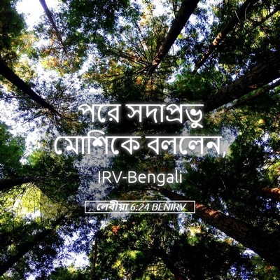 Picture 05 - লেবীয়া 6:24 BENIRV - পরে সদাপ্রভু - Bible Verse Picture