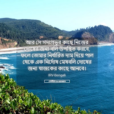 Picture 05 - লেবীয়া 6:6 BENIRV - আর সে সদাপ্রভুর - Bible Verse Picture