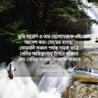 Picture 05 - লেবীয়া 6:9 BENIRV - তুমি হারোণ ও তার - Bible Verse Picture