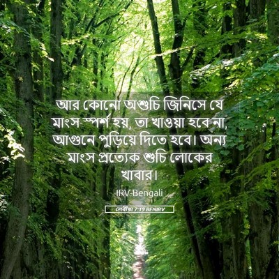 Picture 05 - লেবীয়া 7:19 BENIRV - আর কোনো অশুচি - Bible Verse Picture