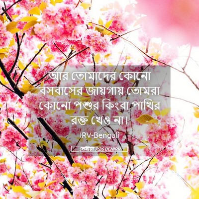 Picture 05 - লেবীয়া 7:26 BENIRV - আর তোমাদের কোনো - Bible Verse Picture