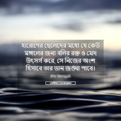Picture 05 - লেবীয়া 7:33 BENIRV - হারোণের ছেলেদের - Bible Verse Picture