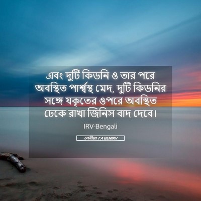 Picture 05 - লেবীয়া 7:4 BENIRV - এবং দুটি কিডনি ও - Bible Verse Picture