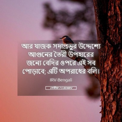 Picture 05 - লেবীয়া 7:5 BENIRV - আর যাজক সদাপ্রভুর - Bible Verse Picture