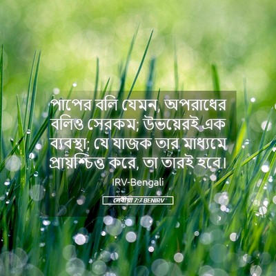 Picture 05 - লেবীয়া 7:7 BENIRV - পাপের বলি যেমন, - Bible Verse Picture