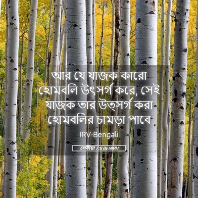 Picture 05 - লেবীয়া 7:8 BENIRV - আর যে যাজক কারো - Bible Verse Picture