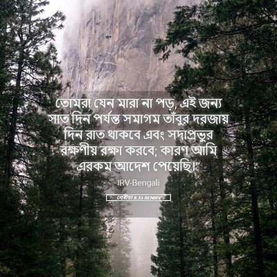 Picture 05 - লেবীয়া 8:35 BENIRV - তোমরা যেন মারা না - Bible Verse Picture