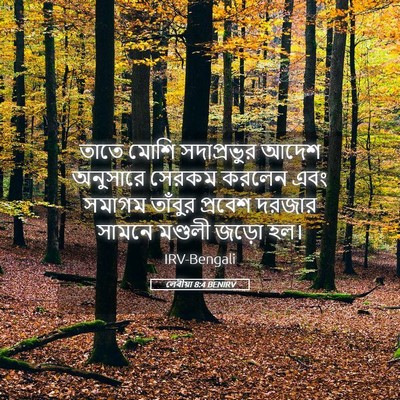 Picture 05 - লেবীয়া 8:4 BENIRV - তাতে মোশি - Bible Verse Picture