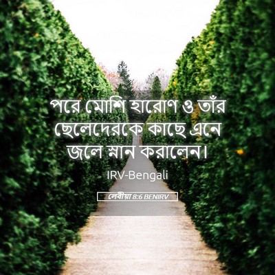 Picture 05 - লেবীয়া 8:6 BENIRV - পরে মোশি হারোণ ও - Bible Verse Picture