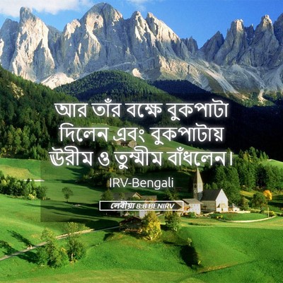 Picture 05 - লেবীয়া 8:8 BENIRV - আর তাঁর বক্ষে - Bible Verse Picture