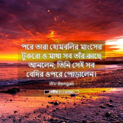 Picture 05 - লেবীয়া 9:13 BENIRV - পরে তারা হোমবলির - Bible Verse Picture