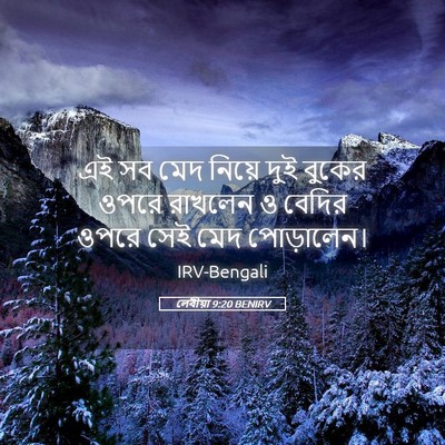 Picture 05 - লেবীয়া 9:20 BENIRV - এই সব মেদ নিয়ে দুই - Bible Verse Picture