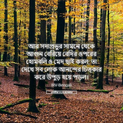 Picture 05 - লেবীয়া 9:24 BENIRV - আর সদাপ্রভুর - Bible Verse Picture