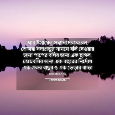 Picture 05 - লেবীয়া 9:3 BENIRV - আর - Bible Verse Picture