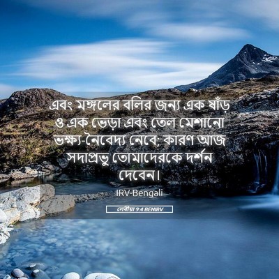 Picture 05 - লেবীয়া 9:4 BENIRV - এবং মঙ্গলের বলির - Bible Verse Picture