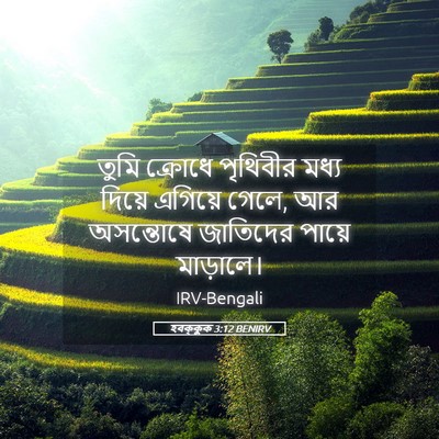 Picture 05 - হবক্কুক 3:12 BENIRV - তুমি ক্রোধে - Bible Verse Picture