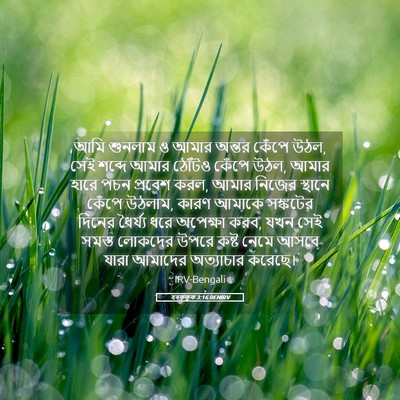 Picture 05 - হবক্কুক 3:16 BENIRV - আমি শুনলাম ও আমার - Bible Verse Picture