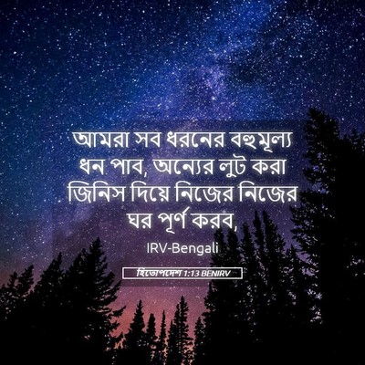 Picture 05 - হিতোপদেশ 1:13 BENIRV - আমরা সব ধরনের - Bible Verse Picture