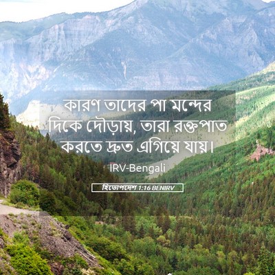 Picture 05 - হিতোপদেশ 1:16 BENIRV - কারণ তাদের পা - Bible Verse Picture