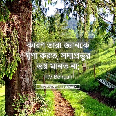 Picture 05 - হিতোপদেশ 1:29 BENIRV - কারণ তারা জ্ঞানকে - Bible Verse Picture