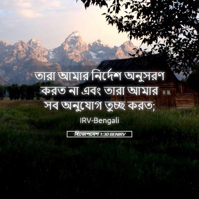Picture 05 - হিতোপদেশ 1:30 BENIRV - তারা আমার নির্দেশ - Bible Verse Picture