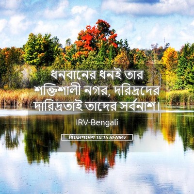 Picture 05 - হিতোপদেশ 10:15 BENIRV - ধনবানের ধনই তার - Bible Verse Picture