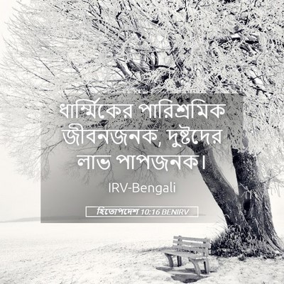 Picture 05 - হিতোপদেশ 10:16 BENIRV - ধার্ম্মিকের - Bible Verse Picture