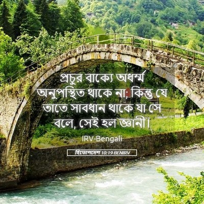 Picture 05 - হিতোপদেশ 10:19 BENIRV - প্রচুর বাক্যে - Bible Verse Picture