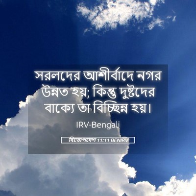 Picture 05 - হিতোপদেশ 11:11 BENIRV - সরলদের আশীর্বাদে - Bible Verse Picture