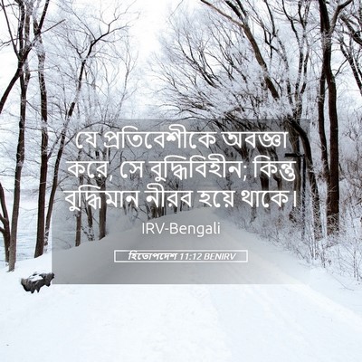 Picture 05 - হিতোপদেশ 11:12 BENIRV - যে প্রতিবেশীকে - Bible Verse Picture