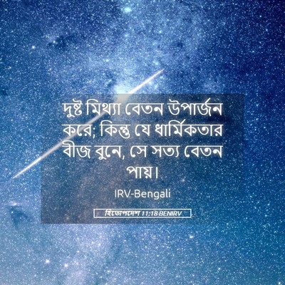 Picture 05 - হিতোপদেশ 11:18 BENIRV - দুষ্ট মিথ্যা বেতন - Bible Verse Picture