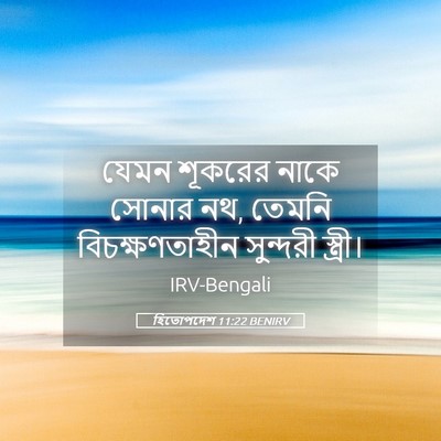 Picture 05 - হিতোপদেশ 11:22 BENIRV - যেমন শূকরের নাকে - Bible Verse Picture
