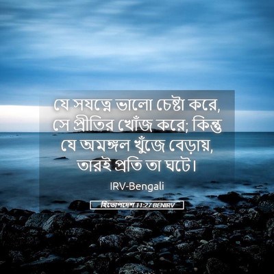 Picture 05 - হিতোপদেশ 11:27 BENIRV - যে সযত্নে ভালো - Bible Verse Picture