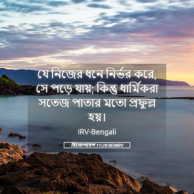 Picture 05 - হিতোপদেশ 11:28 BENIRV - যে নিজের ধনে - Bible Verse Picture