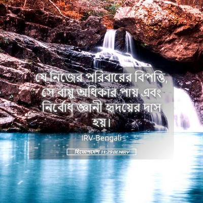 Picture 05 - হিতোপদেশ 11:29 BENIRV - যে নিজের পরিবারের - Bible Verse Picture