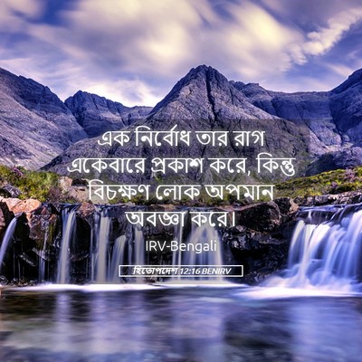 Picture 05 - হিতোপদেশ 12:16 BENIRV - এক নির্বোধ তার রাগ - Bible Verse Picture