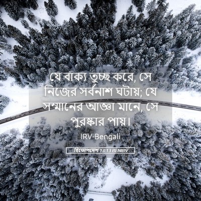 Picture 05 - হিতোপদেশ 13:13 BENIRV - যে বাক্য তুচ্ছ করে, - Bible Verse Picture