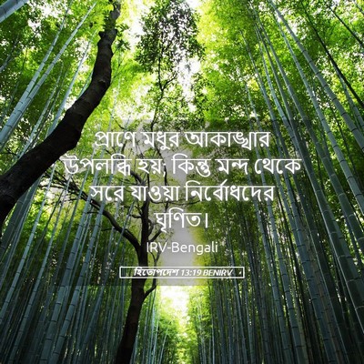 Picture 05 - হিতোপদেশ 13:19 BENIRV - প্রাণে মধুর - Bible Verse Picture