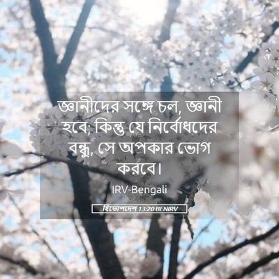 Picture 05 - হিতোপদেশ 13:20 BENIRV - জ্ঞানীদের সঙ্গে - Bible Verse Picture