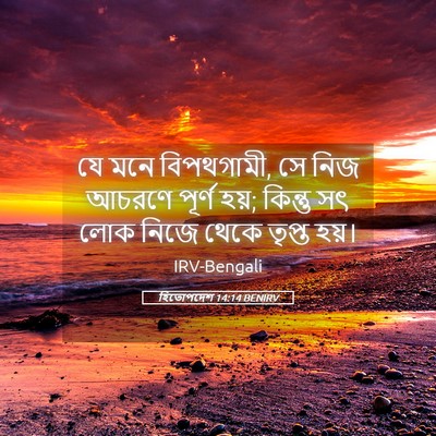 Picture 05 - হিতোপদেশ 14:14 BENIRV - যে মনে বিপথগামী, সে - Bible Verse Picture