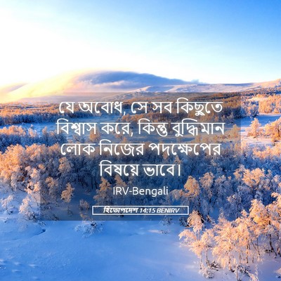 Picture 05 - হিতোপদেশ 14:15 BENIRV - যে অবোধ, সে সব - Bible Verse Picture