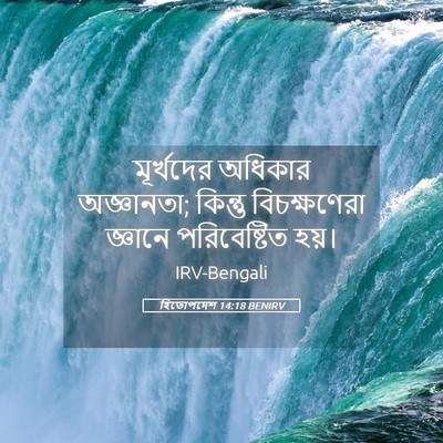 Picture 05 - হিতোপদেশ 14:18 BENIRV - মূর্খদের অধিকার - Bible Verse Picture