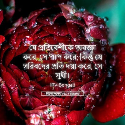 Picture 05 - হিতোপদেশ 14:21 BENIRV - যে প্রতিবেশীকে - Bible Verse Picture