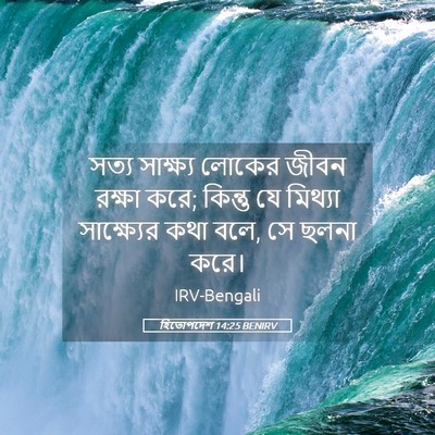 Picture 05 - হিতোপদেশ 14:25 BENIRV - সত্য সাক্ষ্য - Bible Verse Picture