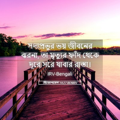 Picture 05 - হিতোপদেশ 14:27 BENIRV - সদাপ্রভুর ভয় - Bible Verse Picture