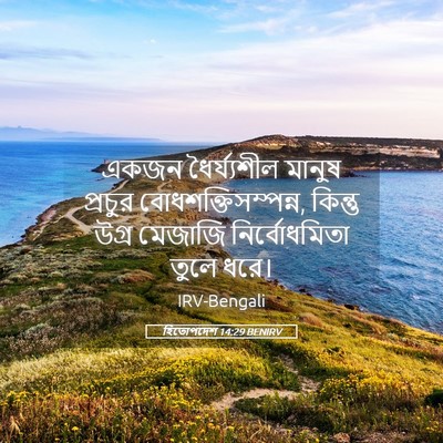 Picture 05 - হিতোপদেশ 14:29 BENIRV - একজন ধৈর্য্যশীল - Bible Verse Picture