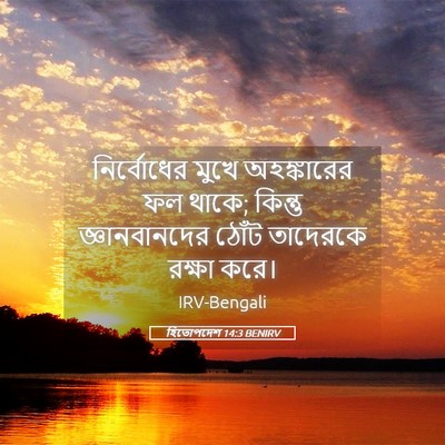 Picture 05 - হিতোপদেশ 14:3 BENIRV - নির্বোধের মুখে - Bible Verse Picture