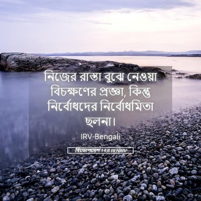Picture 05 - হিতোপদেশ 14:8 BENIRV - নিজের রাস্তা বুঝে - Bible Verse Picture